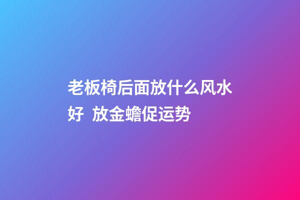 老板椅后面放什么风水好  放金蟾促运势